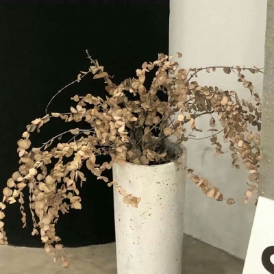 Furry插画故事感灵感兽圈社群